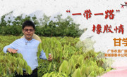 先进事迹报告会丨甘学德：“一带一路”橡胶情