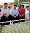 习近平：贯彻落实科学发展观 提高全民科学素质