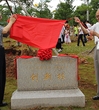 第25届全国青少年科技创新大赛植树纪念活动举行