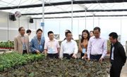 广东青年科学家赴云浮市开展人才对接与科技服务