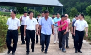 省科协调研组前往河源市连平县调研科技助力乡村振兴工作