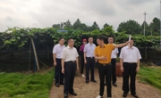 省科协领导到乐昌市调研科技助力乡村振兴工作