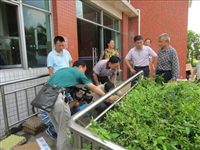 江门市病媒生物防制协会参与市爱卫会登革热防控督导