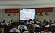 开平市科协联合举办罗非鱼病害防治技术培训