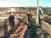东源县科协调研船塘镇蓝莓生产基地