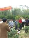 省农科院柑桔研究所专家到我县开展灾后复产现场指导会
