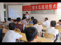 徐闻县科协举办灾后复产木瓜技术培训班
