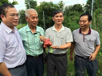 江门市科协前往恩平市牛江镇调研新一轮科普示范镇创建工作