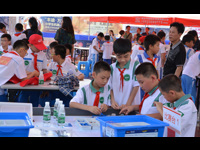汕头市澄海区举行小学生机器人竞赛暨青少年科技嘉年华活动