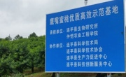 河源市连平县举行早熟蜜桃新品种现场测产与品质鉴评会