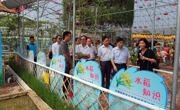汤少明到“全国科普教育基地”广东盈香生态园调研