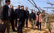 江西省信丰县科技局到河源市和平县科协学习交流