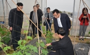 省调研组考察广东和利农种业股份有限公司“广东省院士专家企业工作站”筹建工作