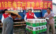 河源市科协在梅花村举办贫困户肉鸡发放仪式