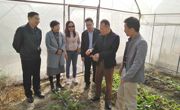 惠州市惠阳区科协到良井镇开展科普宣传工作调研活动