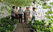 惠州市惠阳区科协到科普教育基地调研
