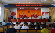 河源市紫金县紫城镇科协第一次代表大会召开