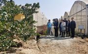 惠州市惠阳区科协到广东大橘果业调研科普工作