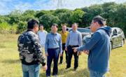 驻大成镇帮扶工作队前往电白沙琅藿香种植基地参观考察