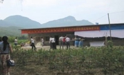 广东省蚕学会召开“原蚕区桑园管理技术及蚕桑生产经营新模式研讨会”