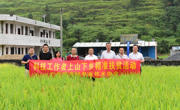 省农技协组织农技专家服务团赴乳源山区下乡帮扶