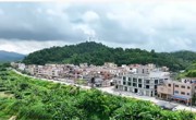 云浮市新兴县新城镇：深化“村校企”合作 助推乡村产业振兴