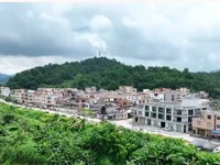 云浮市新兴县新城镇：深化“村校企”合作 助推乡村产业振兴