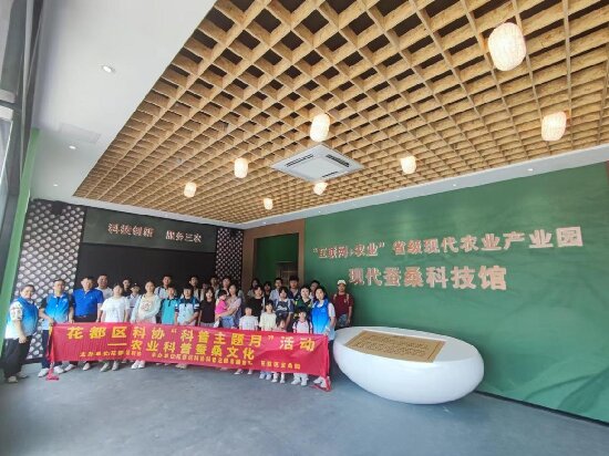 图片1_proc