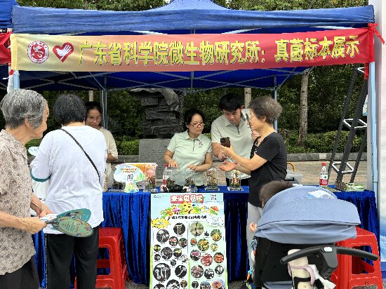 图片1_proc