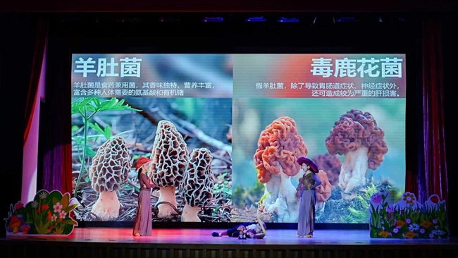 图片3-