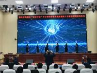 肇庆市高要区举行“双百行动”中小学科学教育提质暨院士专家进校园启动仪式