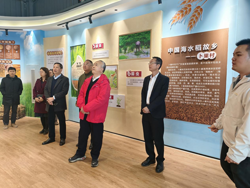 图片 3