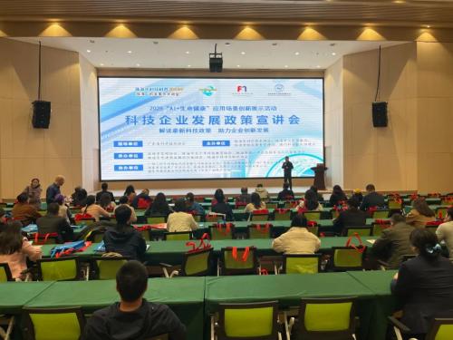 图片11
