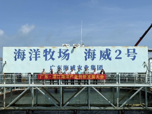 图片 3